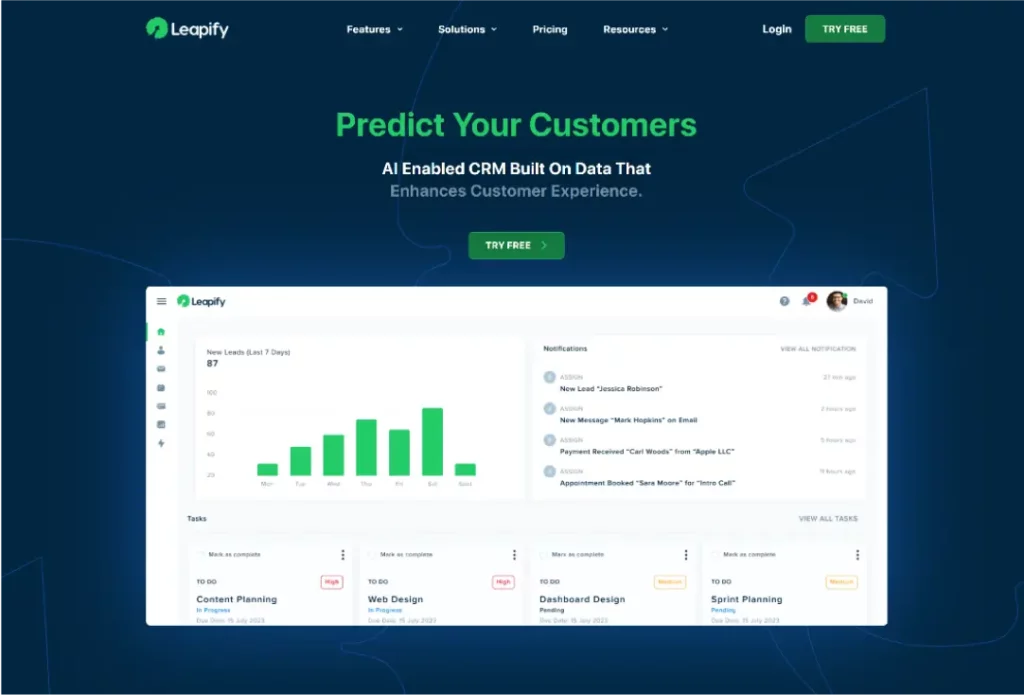 leapify website first fold